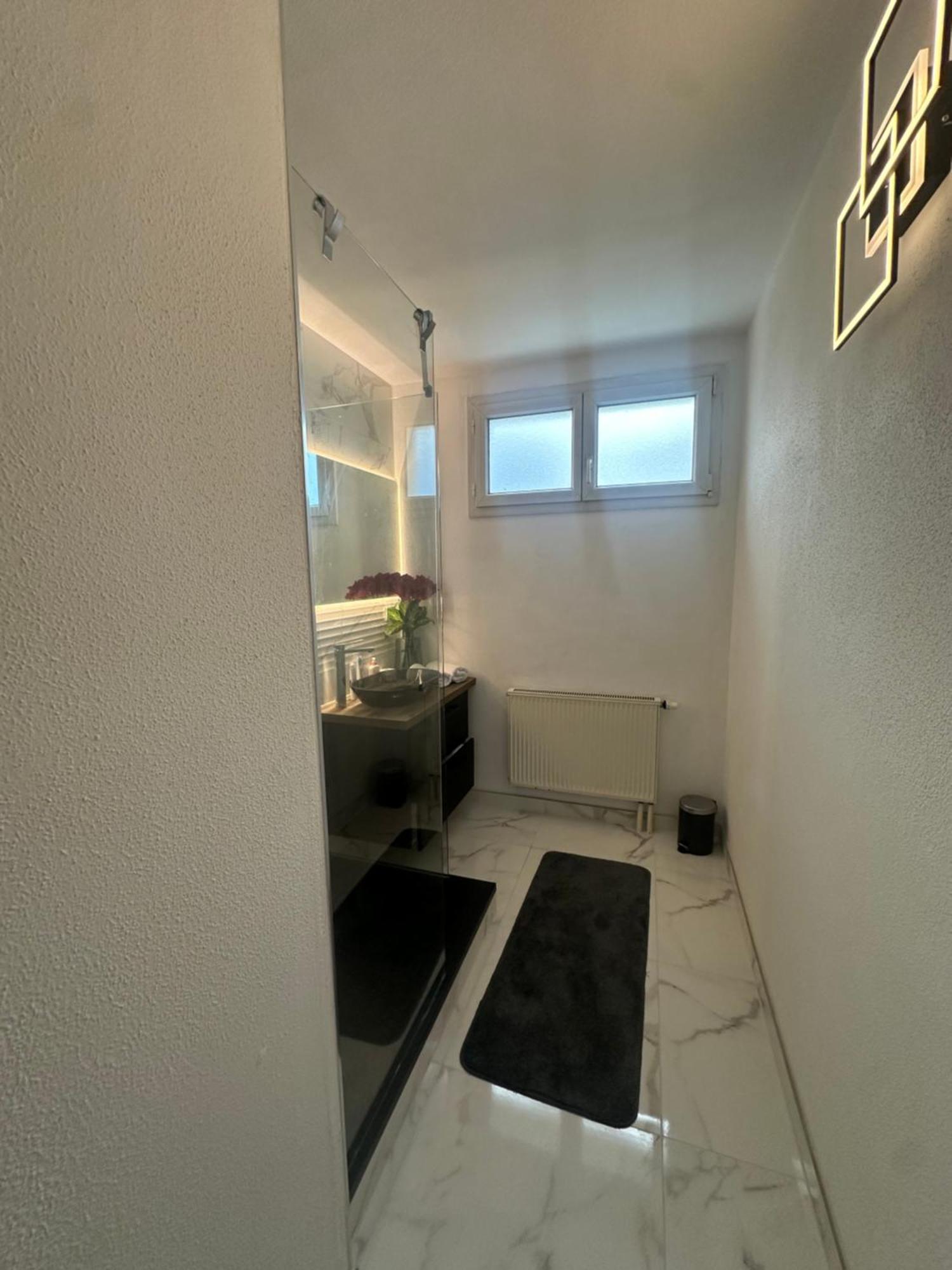 Tres Beau Trois Pieces Avec Vue Degagee Lägenhet Strasbourg Exteriör bild